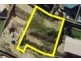 10 Fradgley Crt, Ormeau Hills QLD 4208