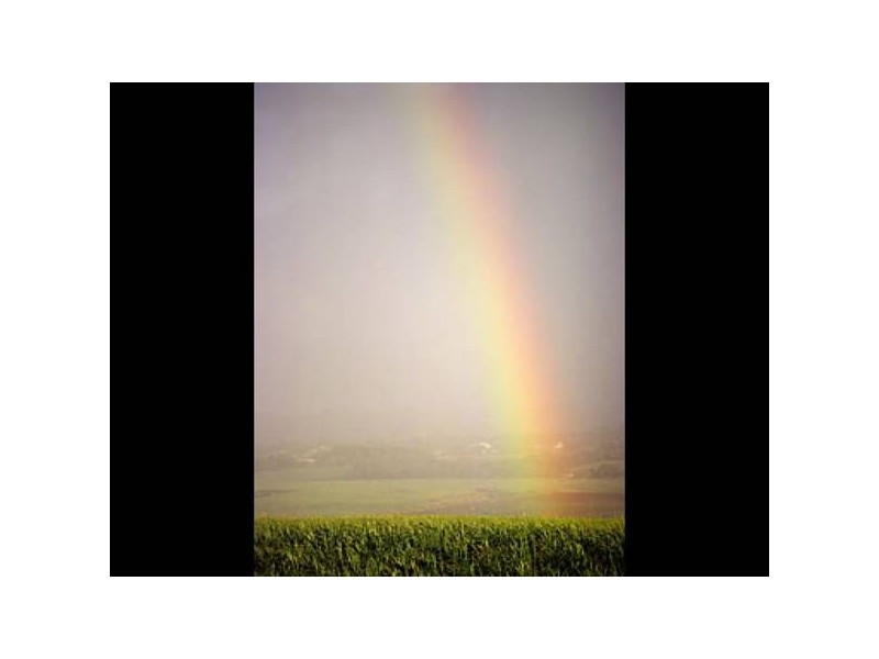 195 Norwell Rd, Ormeau QLD 4208