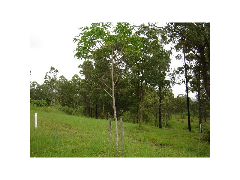 Wongawallan QLD 4210