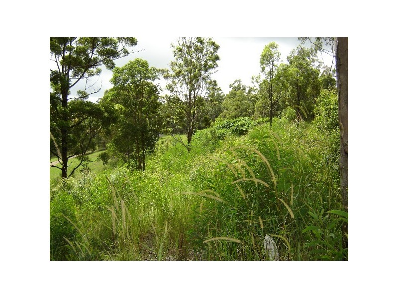 Wongawallan QLD 4210