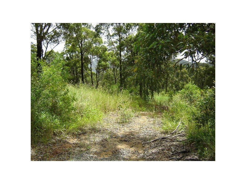 Wongawallan QLD 4210