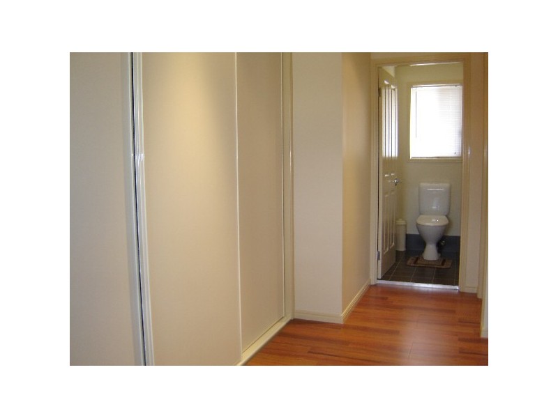 1/2 Carob Court, Ormeau QLD 4208