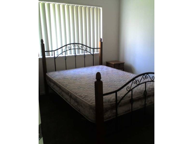 14 Shannonbrook Ave, Ormeau QLD 4208