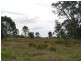 135 Pagan Rd, Yatala QLD 4207