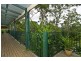 24 Dewrang Dr, Pimpama QLD 4209