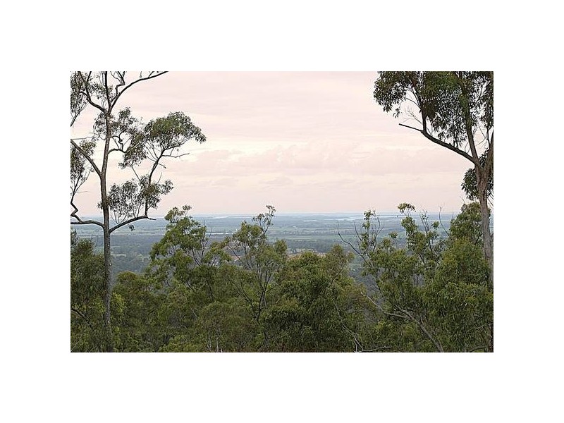 156 Fairview Dr, Willow Vale QLD 4209