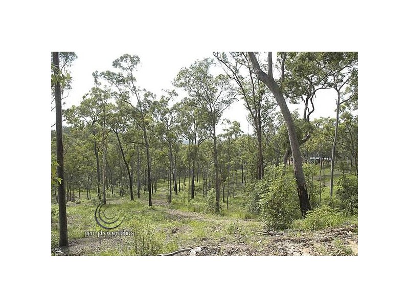 156 Fairview Dr, Willow Vale QLD 4209