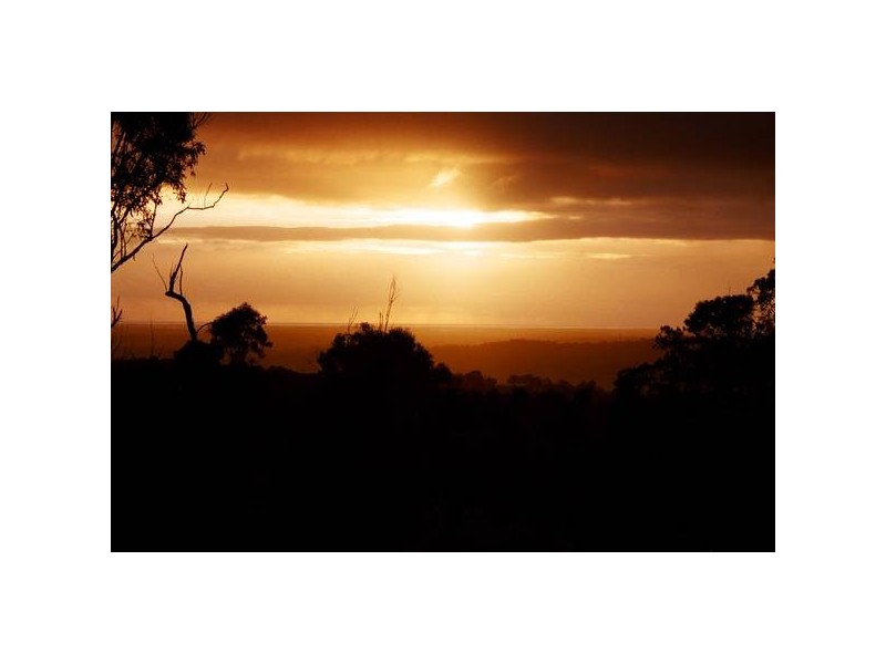 156 Fairview Dr, Willow Vale QLD 4209