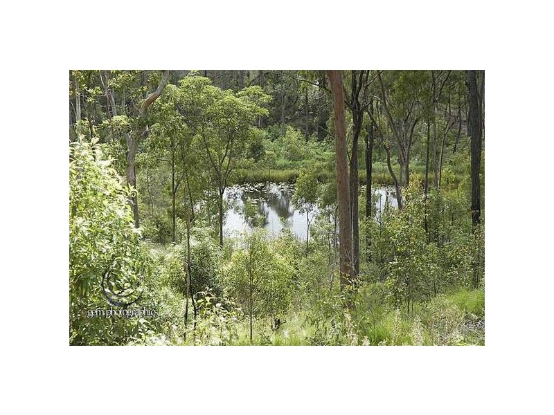 156 Fairview Dr, Willow Vale QLD 4209