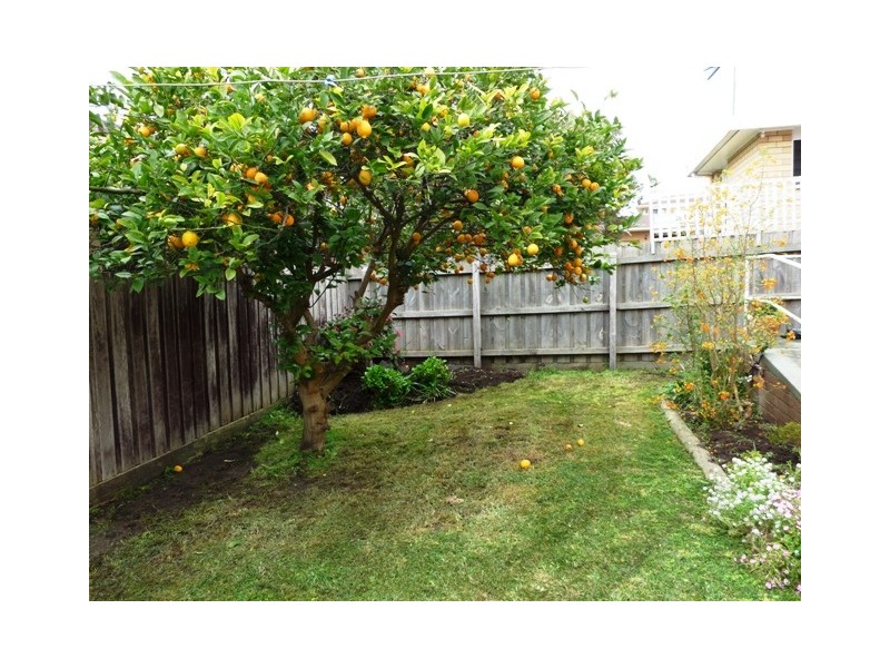 2/2 Waveny Avenue, Warrnambool VIC 3280