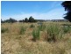 1093 Warrnambool – Caramut Road, Mailors Flat VIC 3275