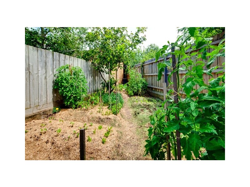 Warrnambool VIC 3280