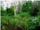 108 Watton Street, Penshurst VIC 3289