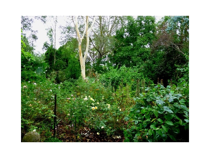 108 Watton Street, Penshurst VIC 3289