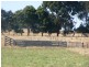Panmure VIC 3265