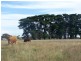 Panmure VIC 3265