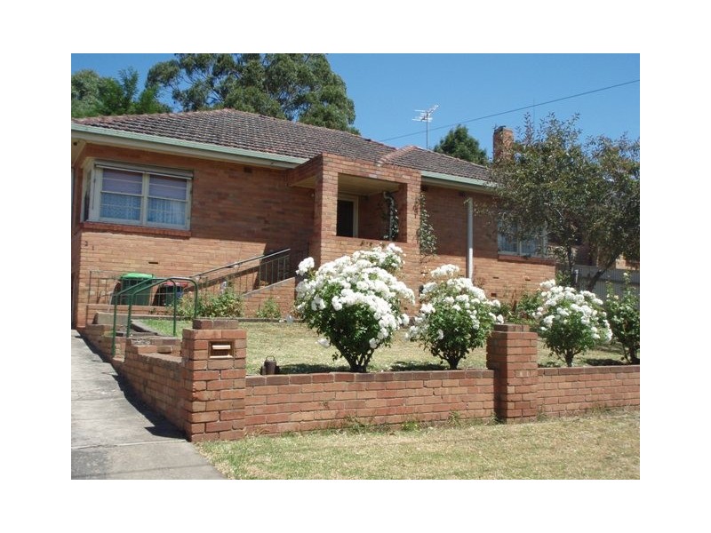 Terang VIC 3264