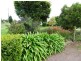 36 Ti Tree Lane, Penshurst VIC 3289