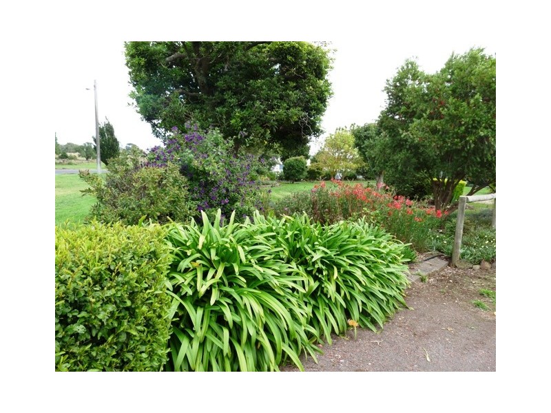 36 Ti Tree Lane, Penshurst VIC 3289