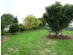 36 Ti Tree Lane, Penshurst VIC 3289
