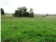 36 Ti Tree Lane, Penshurst VIC 3289