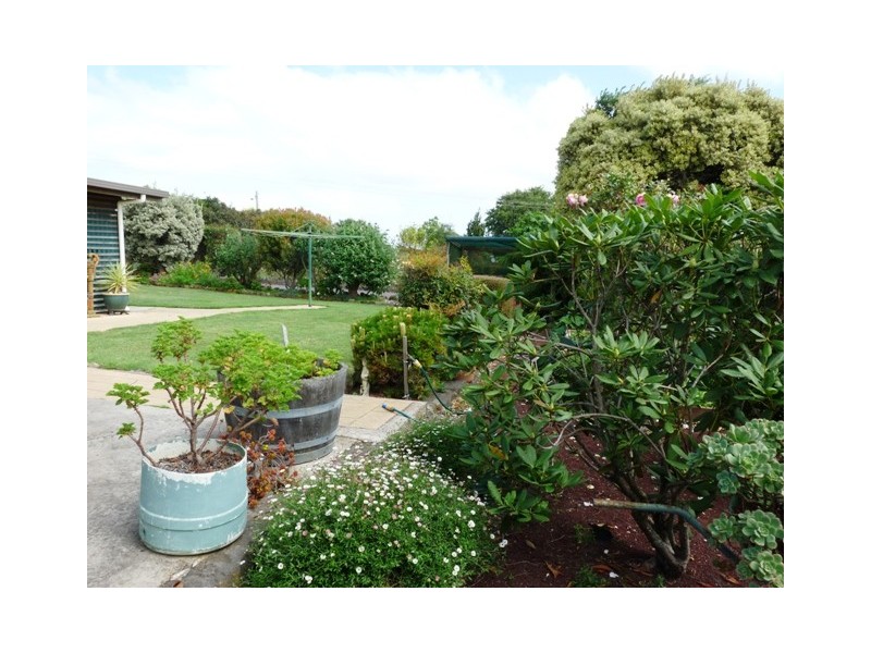 36 Ti Tree Lane, Penshurst VIC 3289