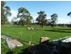 Elingamite North VIC 3266