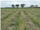 Warrnambool VIC 3280