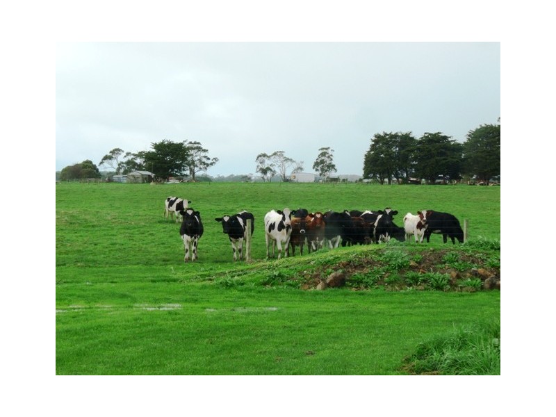 61 Panmure – Laang Road, Panmure VIC 3265