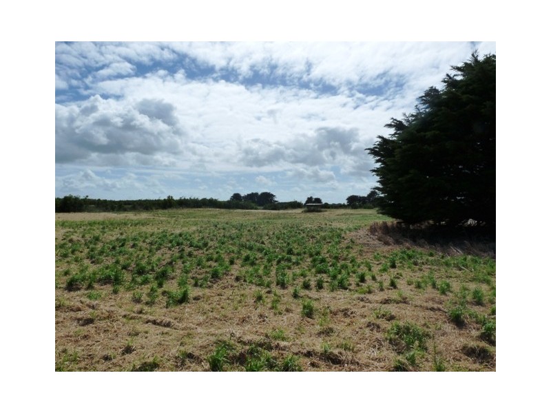 0 Great Ocean Road, Nirranda VIC 3268