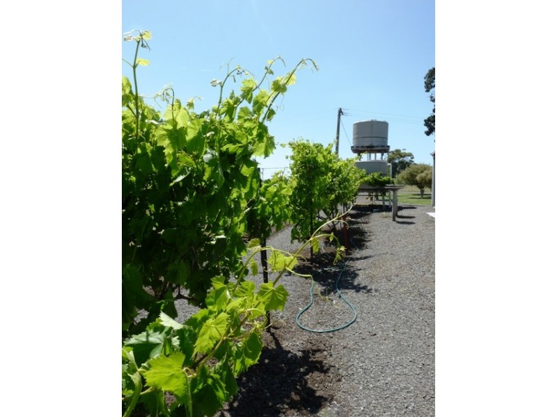 Woolsthorpe VIC 3276