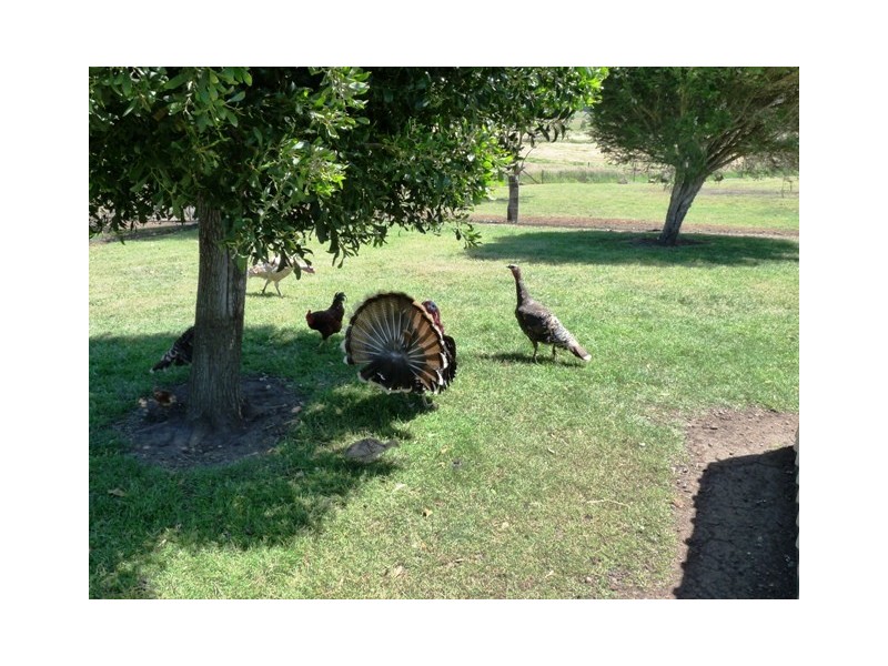 Woolsthorpe VIC 3276