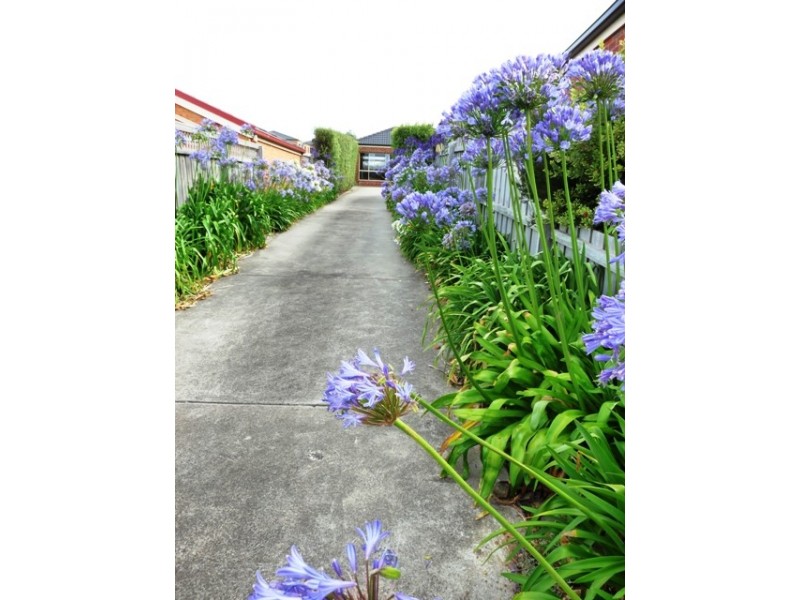 Warrnambool VIC 3280