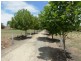 Mailors Flat VIC 3275