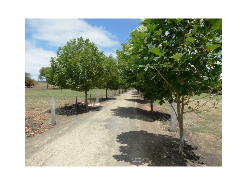 Mailors Flat VIC 3275