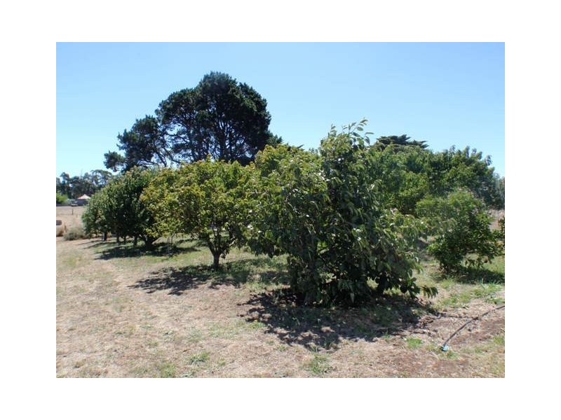 Caramut VIC 3274