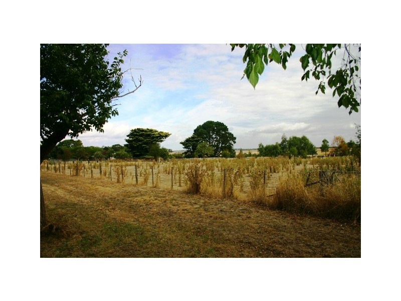 Caramut VIC 3274