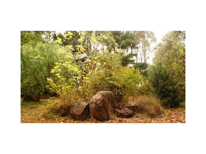 Woolsthorpe VIC 3276