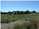 Koroit VIC 3282