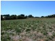 Koroit VIC 3282