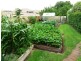 Glenormiston South VIC 3265