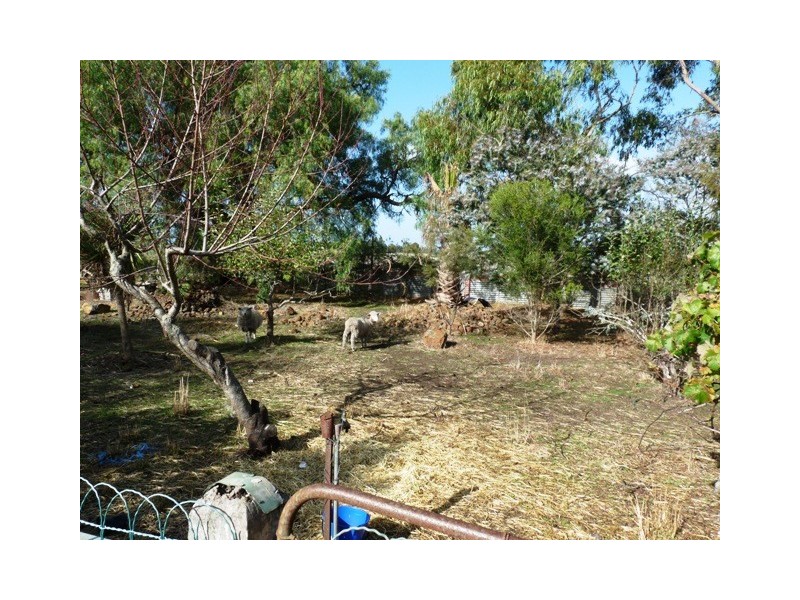Mortlake VIC 3272