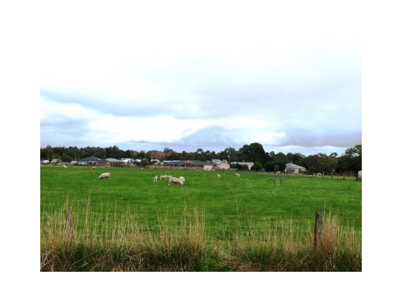 9 Quinns Road, Bushfield VIC 3281