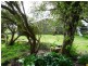 Mortlake VIC 3272