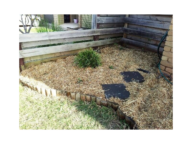 Warrnambool VIC 3280