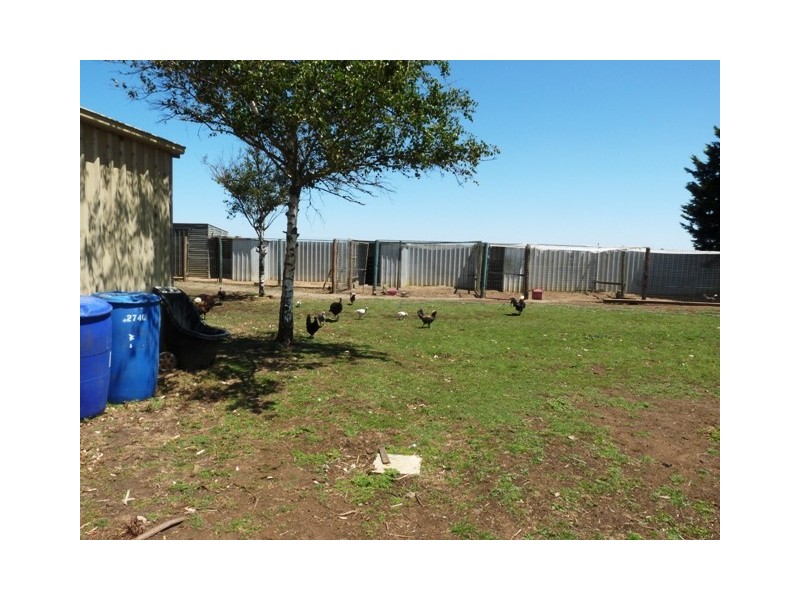 Koroit VIC 3282