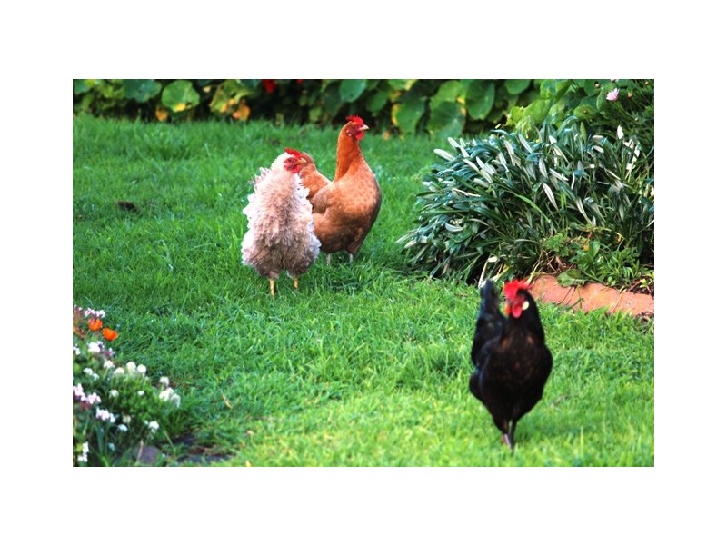 Warrnambool VIC 3280