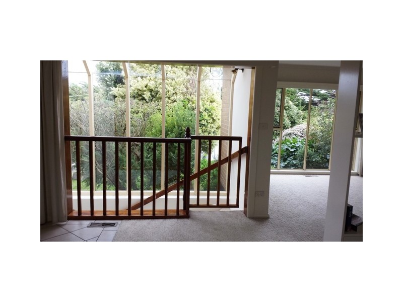 38 Younger Street, Warrnambool VIC 3280