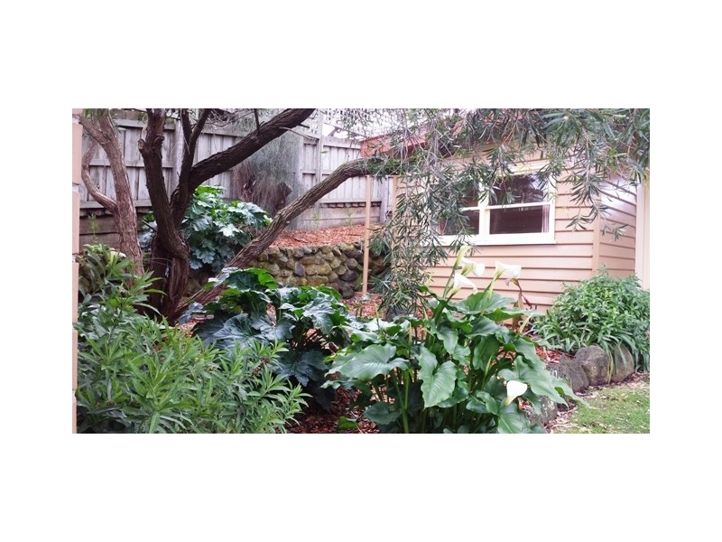 38 Younger Street, Warrnambool VIC 3280