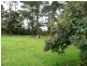 Hawkesdale VIC 3287
